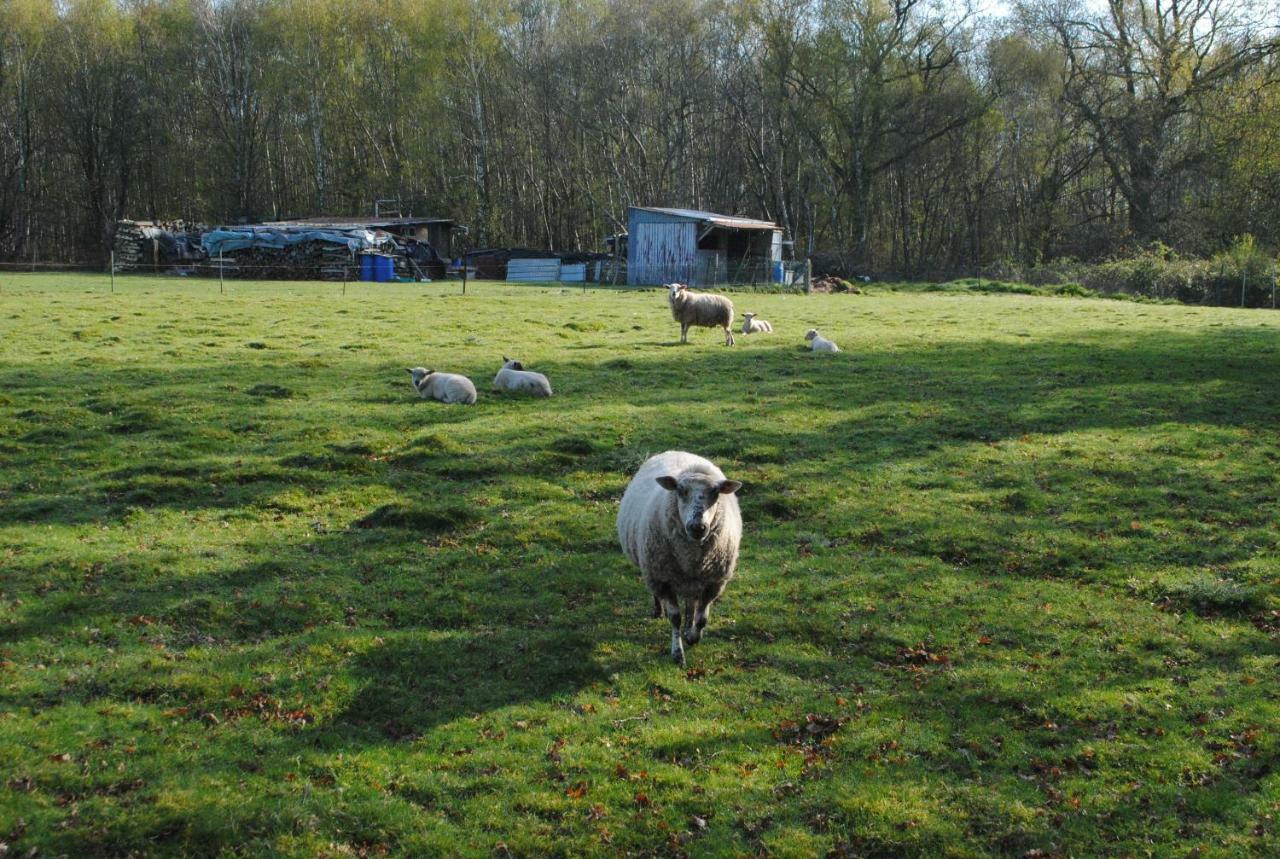 Chambres D'Hotes La Tribu Quévreville-la-Poterie Exteriör bild